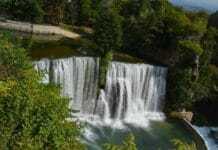 The Need to Reject the Treaty of Bucharest