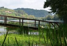 The End of Exile and the Journey Home