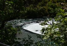 The Cemetery Above the Grotto of the Seven Sleepers